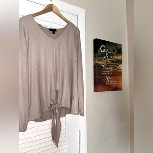 A shiny nude long sleeve top